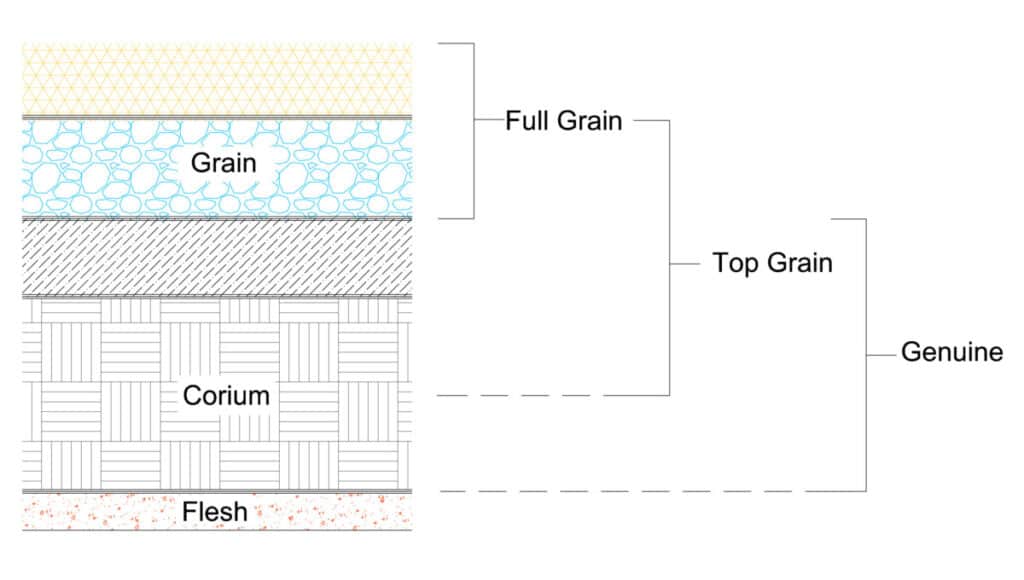 Sketch showing position of various grades of leather
